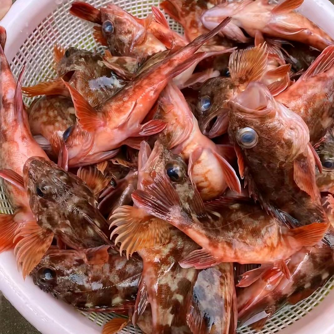 90后，卖鱼老