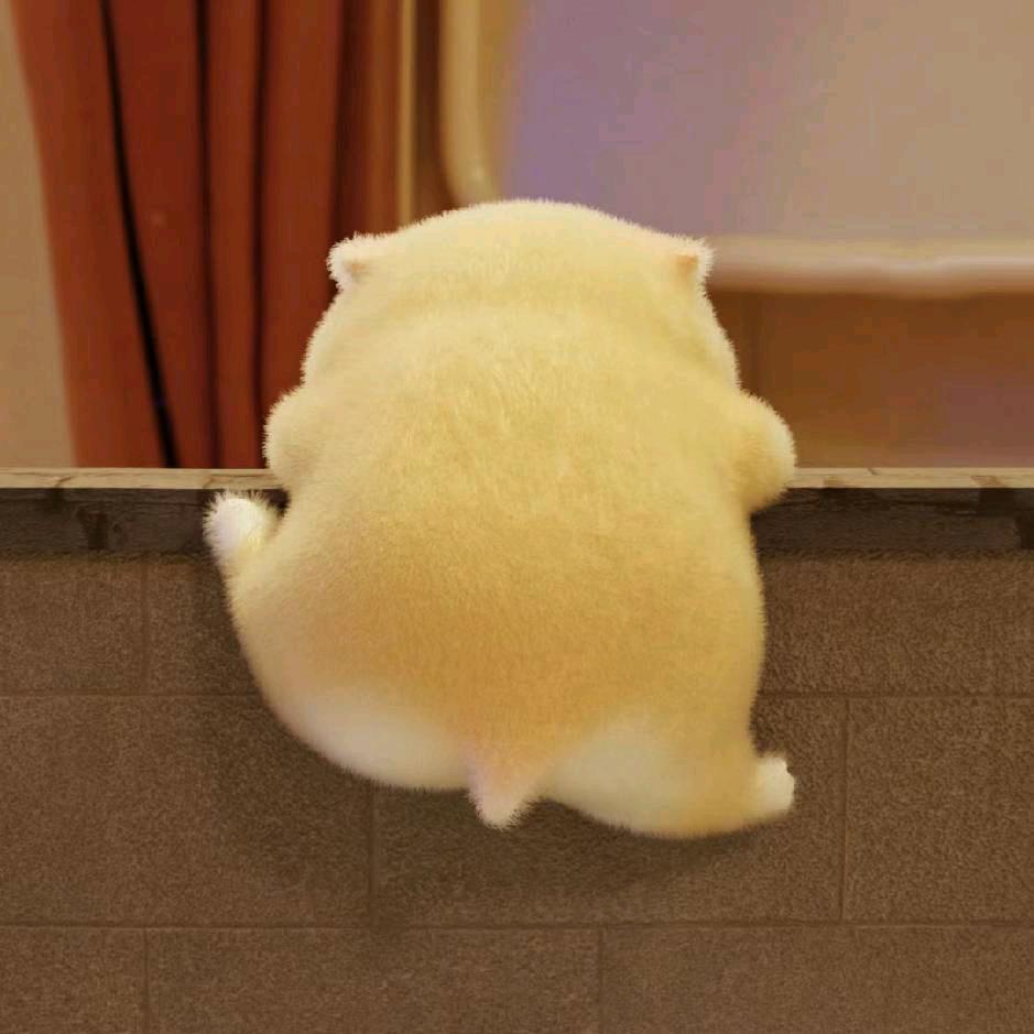 迷糊