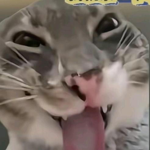 🥭🐟（剪纸版）