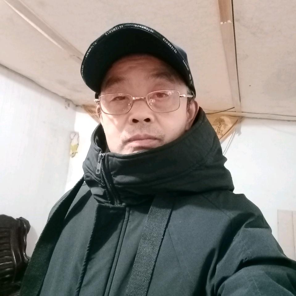 海鸥