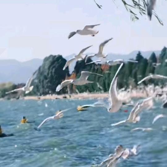 🦔☞念而不忘☜🦔