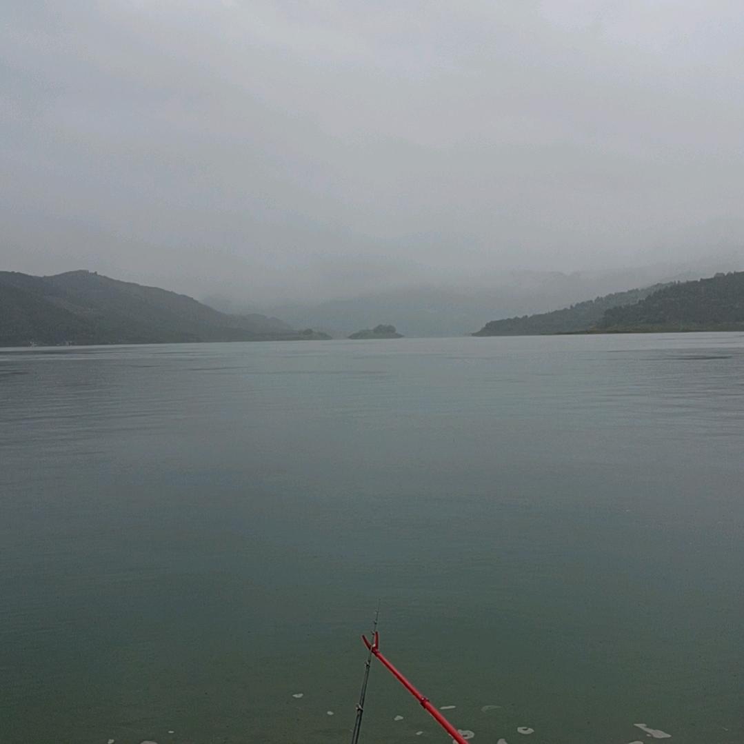 众豆