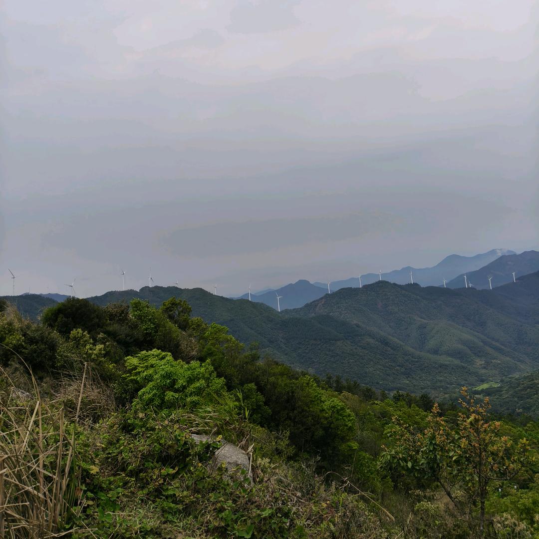 柏舟