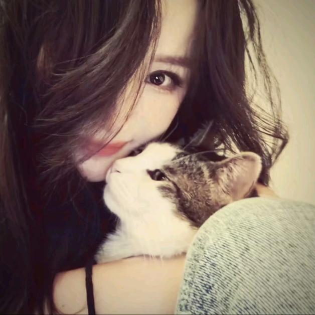 𝑪𝑪𝑨𝑰𝑷𝑿