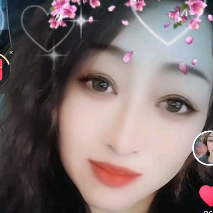 🌹玫瑰🌹