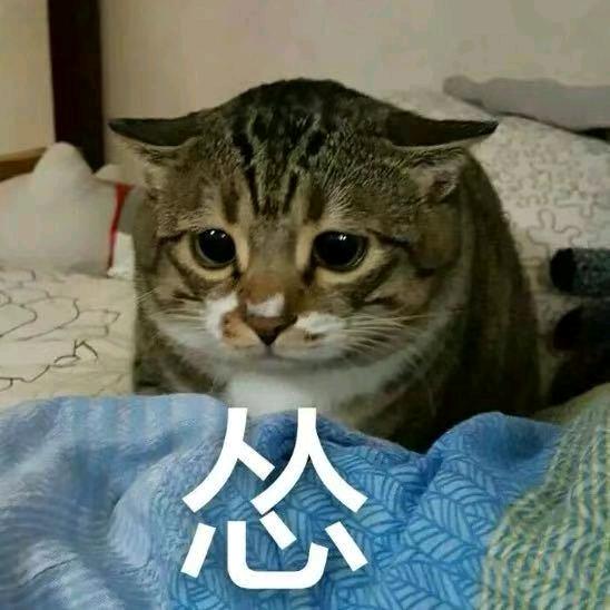 月亮（LOLm）（打法最凶的辅助）