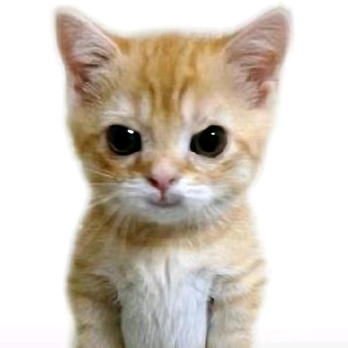 细胞呼吸七点半