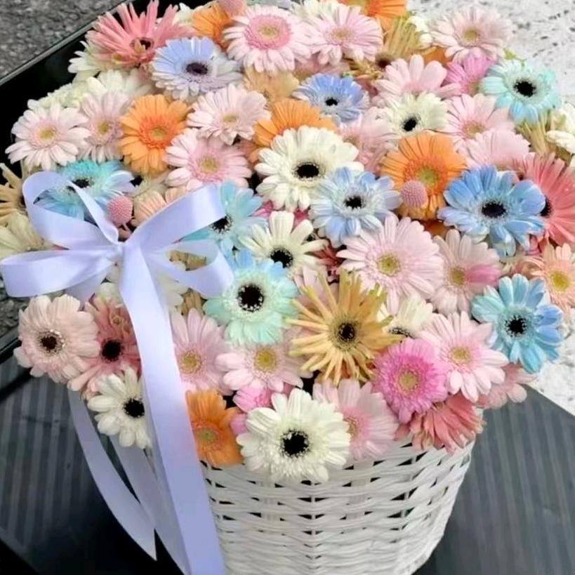 😜不发胖只发财💰