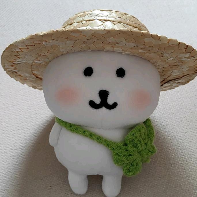 走遍翔霖的评论区