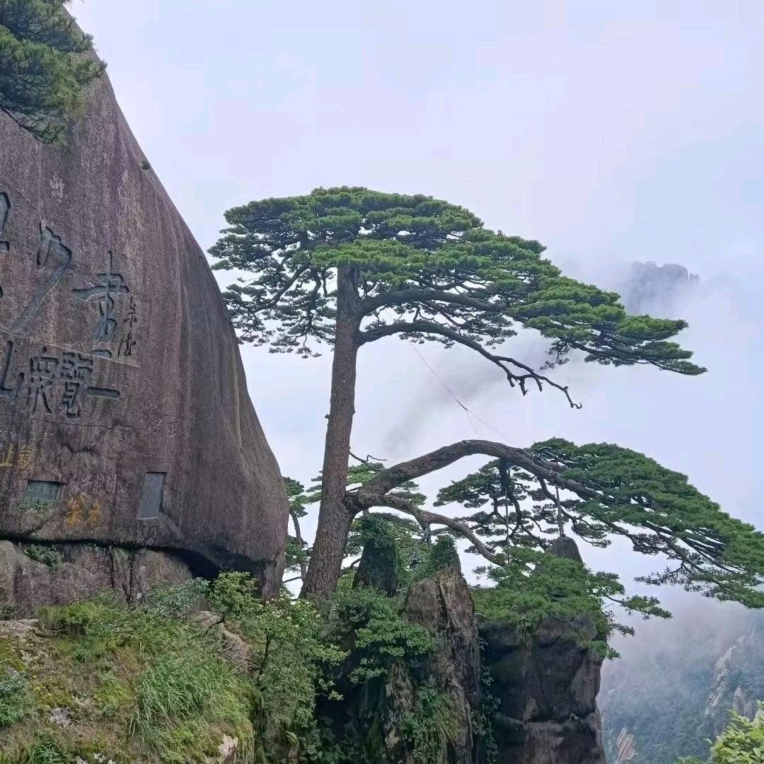 113957270微笑