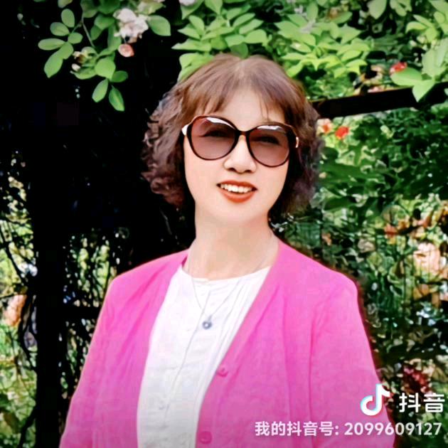 琴