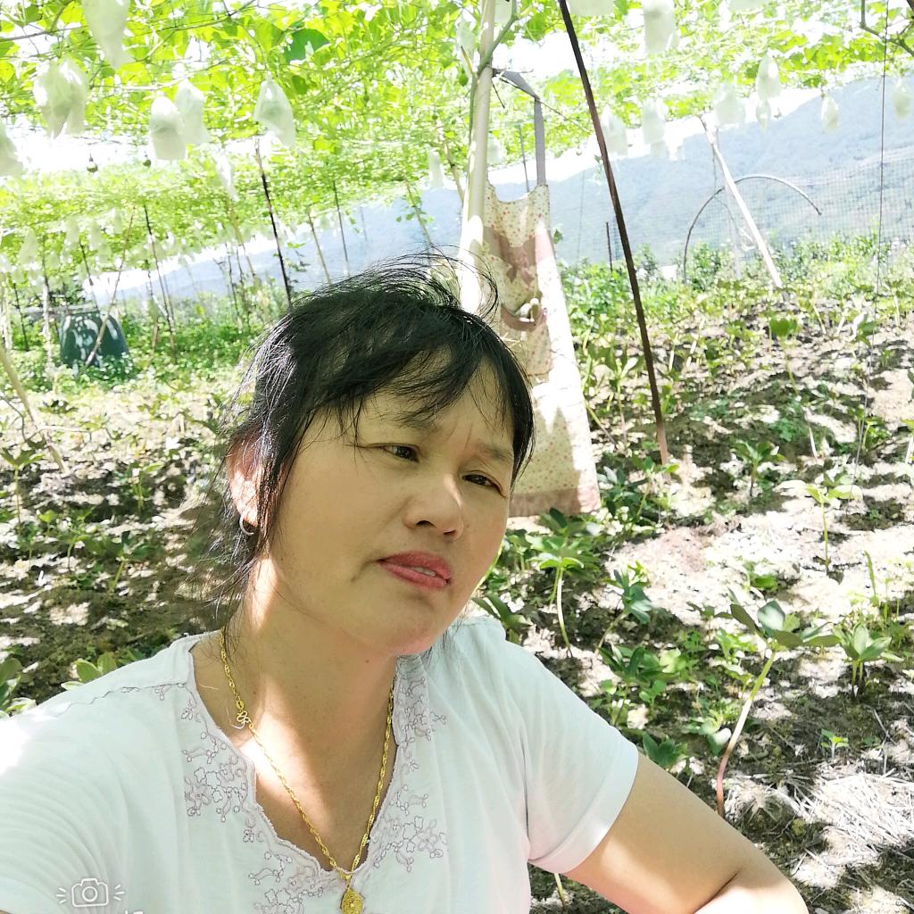 过好每一天🌞