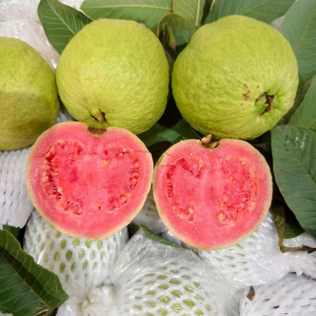 财神爷的心尖尖😎