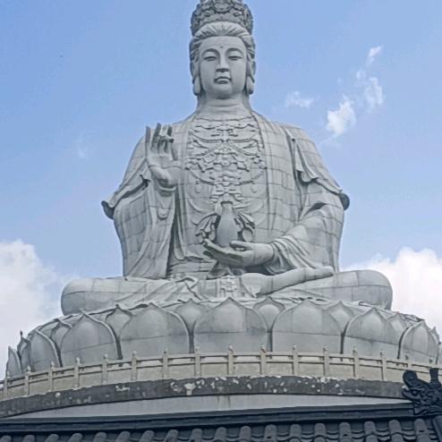 伟丰建材 租 售 钢模板 脚手架钢管等等