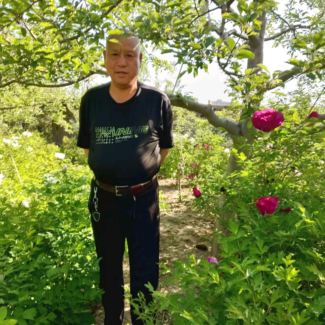 龙老大293