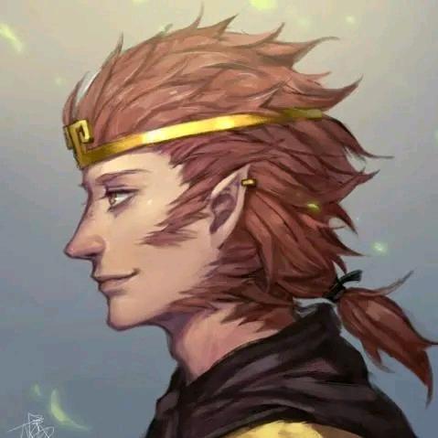 袭风