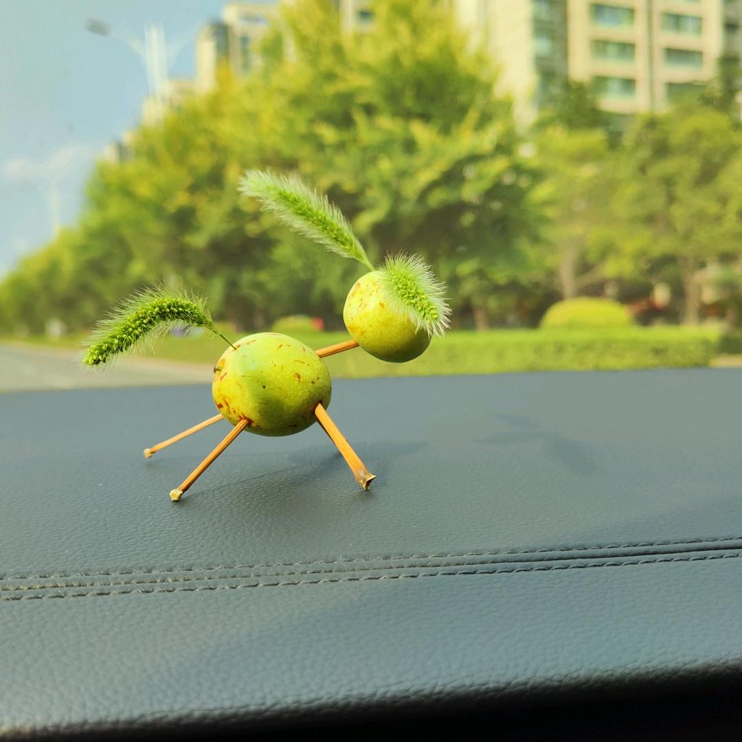 寻梦旅人