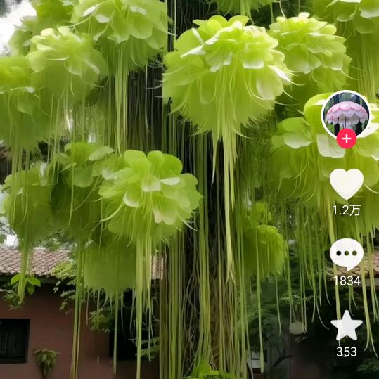 晴尔琴