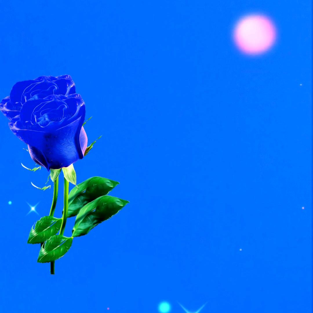 小西瓜味，西瓜