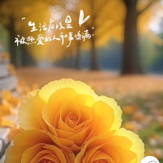 @云淡风轻