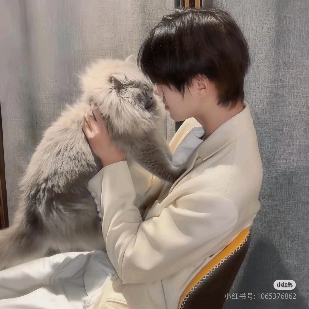 七安🐰
