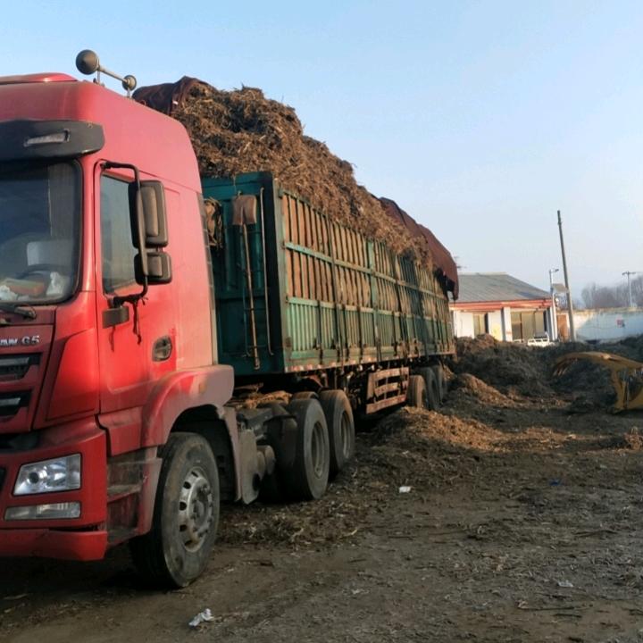 小李一之梅