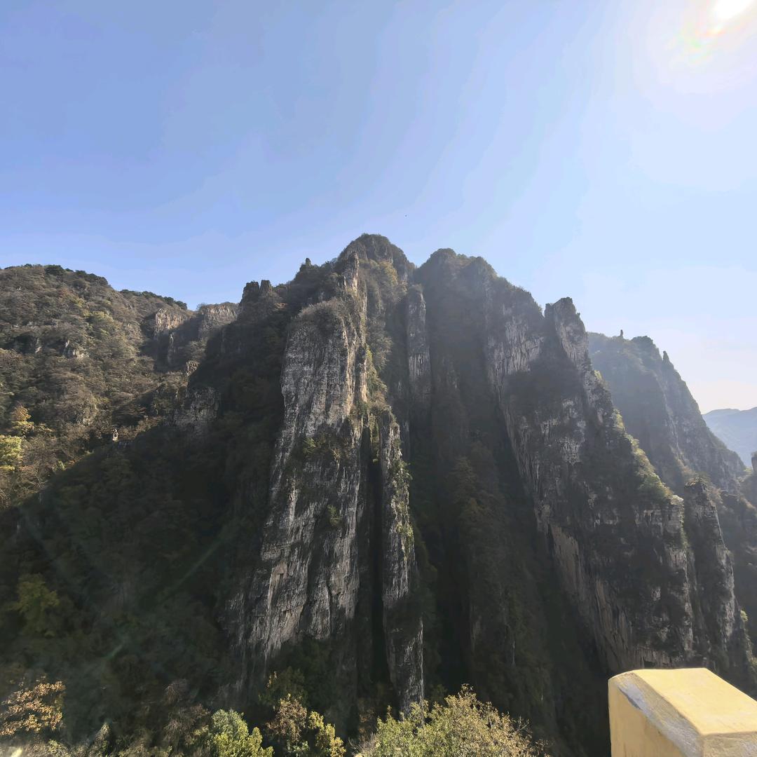 叫不醒装睡的人