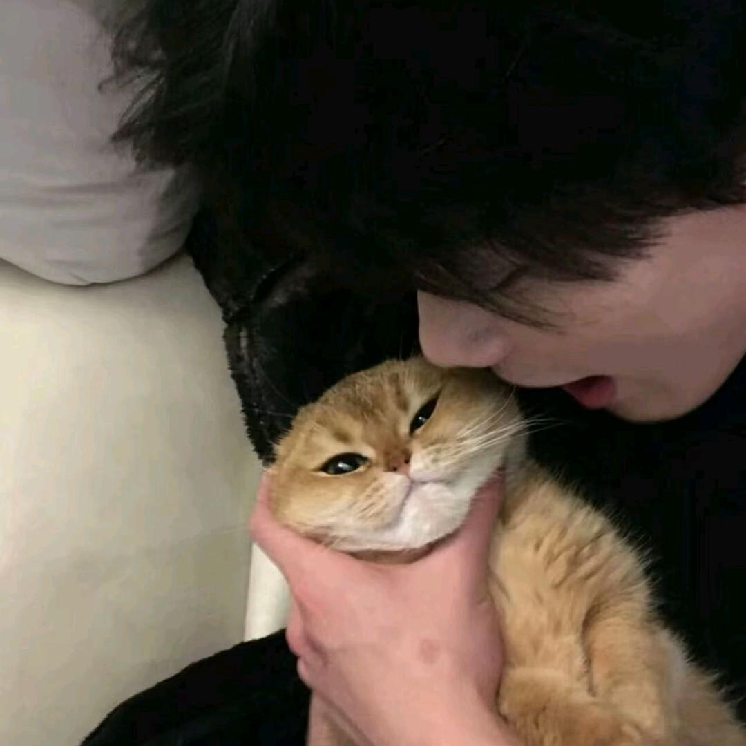 秋季临（原神速配 ◔.̮◔✧）