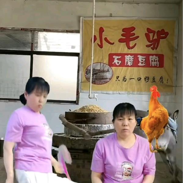 大风（不定时开播）