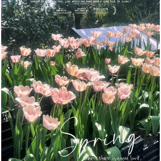 星缘小屋（同款找橱窗）