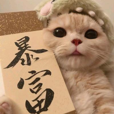 早睡晚起ㅤ