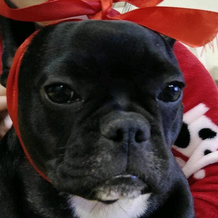 平遥牛肉灵石南关总经销