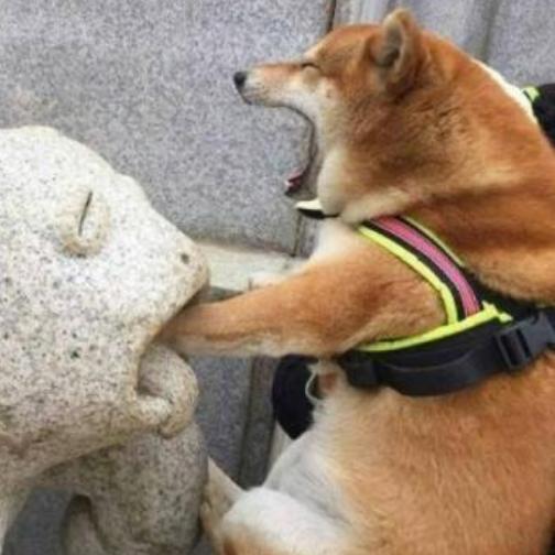 画风很清奇