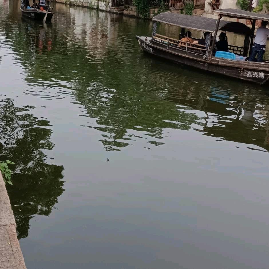 小初A3270（每天不定时开播）