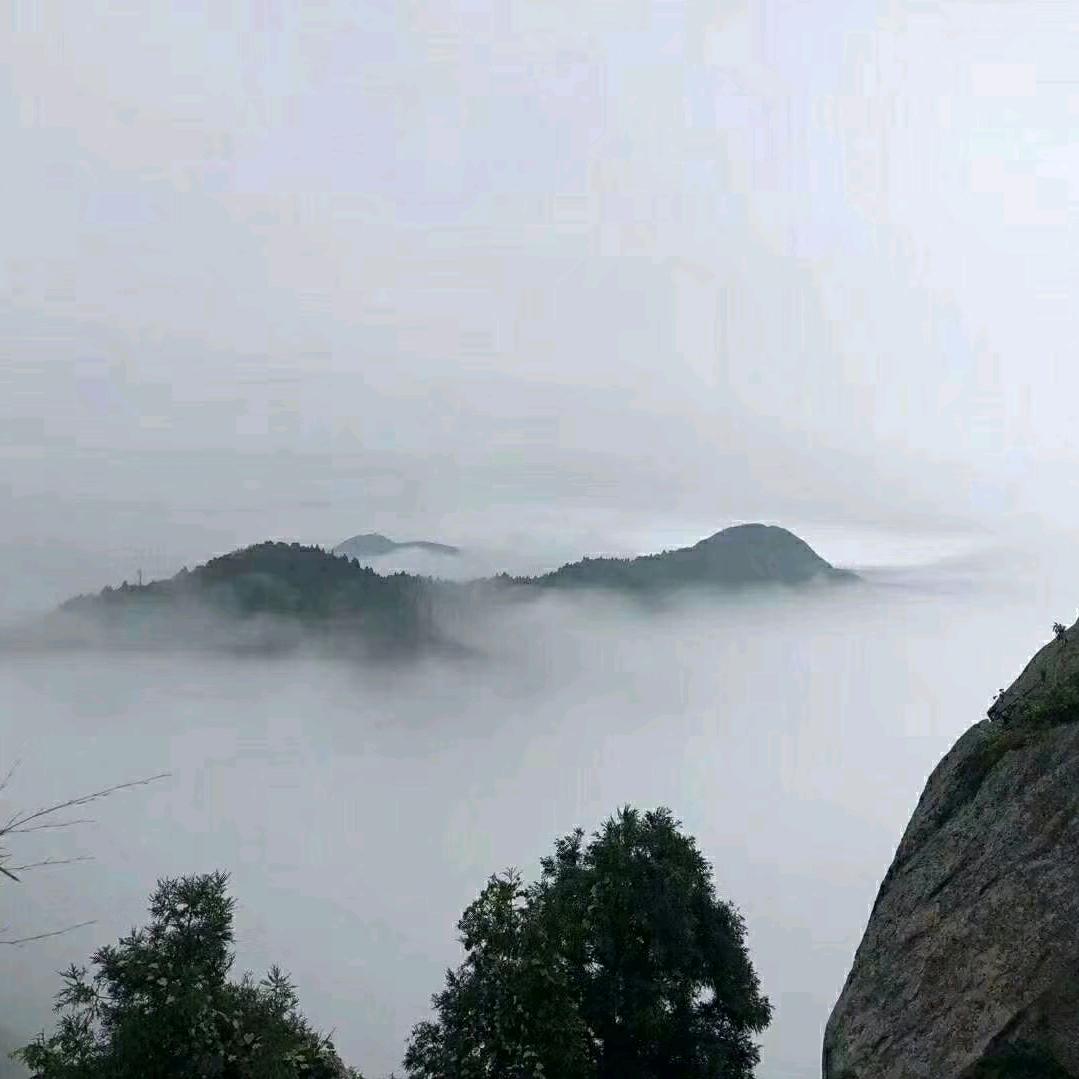 光头
