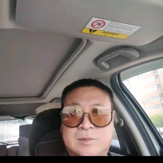 任我飞翔