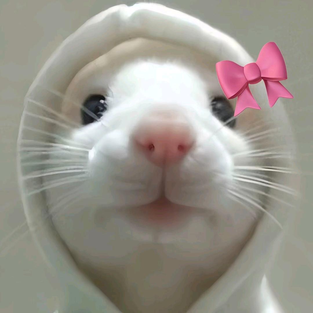 姜 屿 露💜