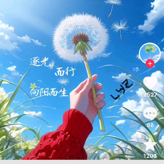 如意