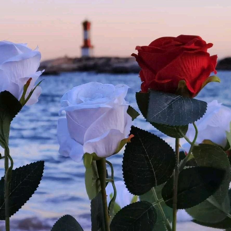 西安达兴人力资源管理有限公司