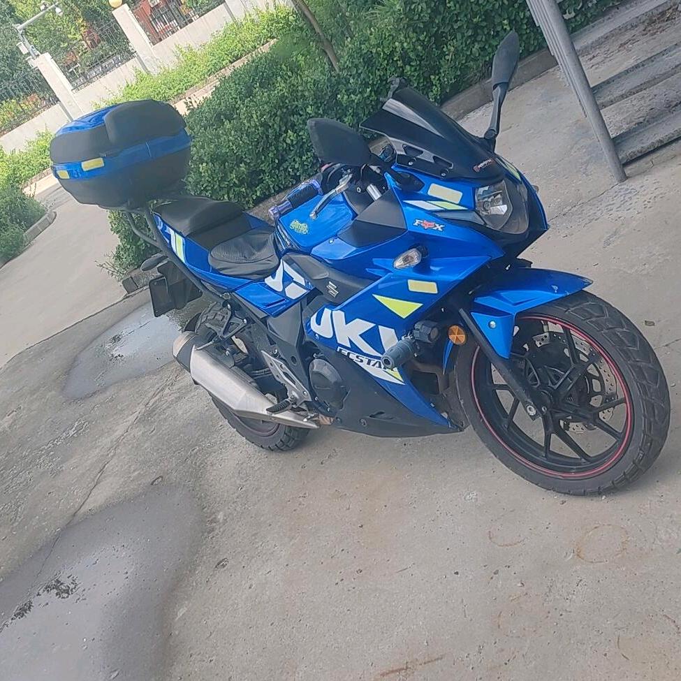 小小的小🦈
