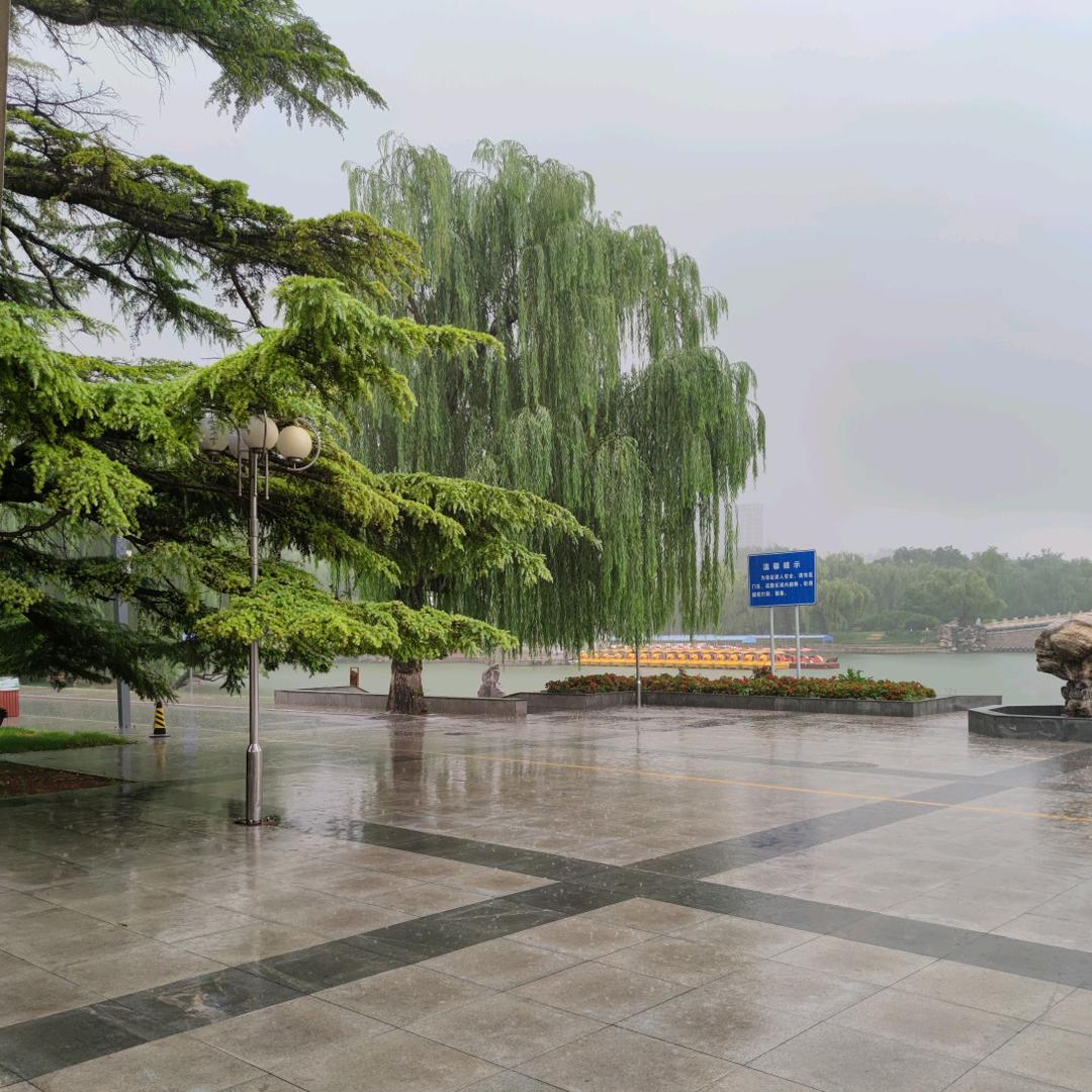 大名波哥