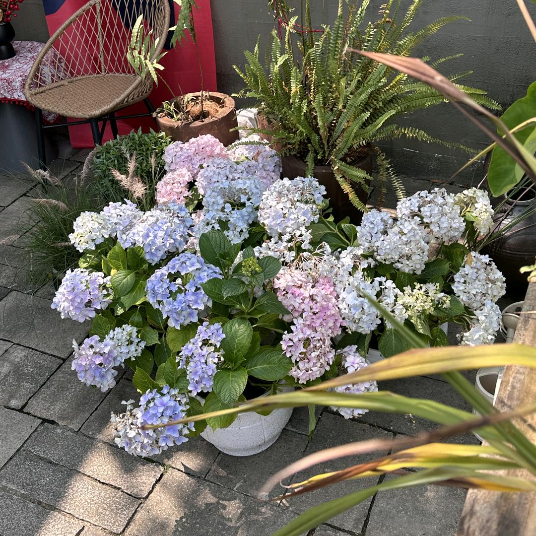 开心美好又一天