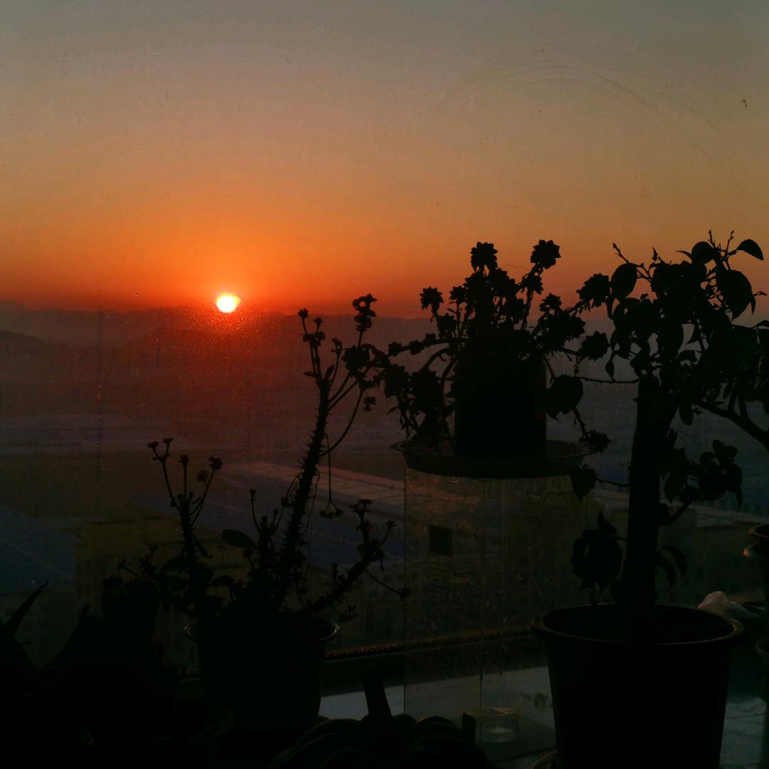 人间至味是清欢