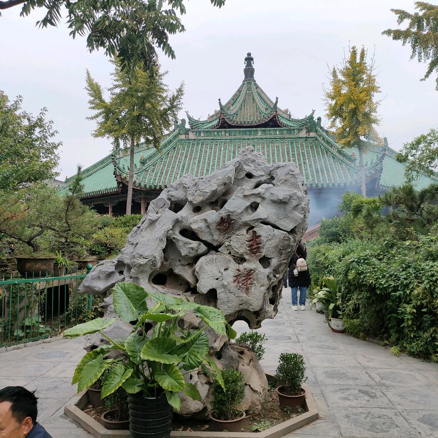 王冬苗