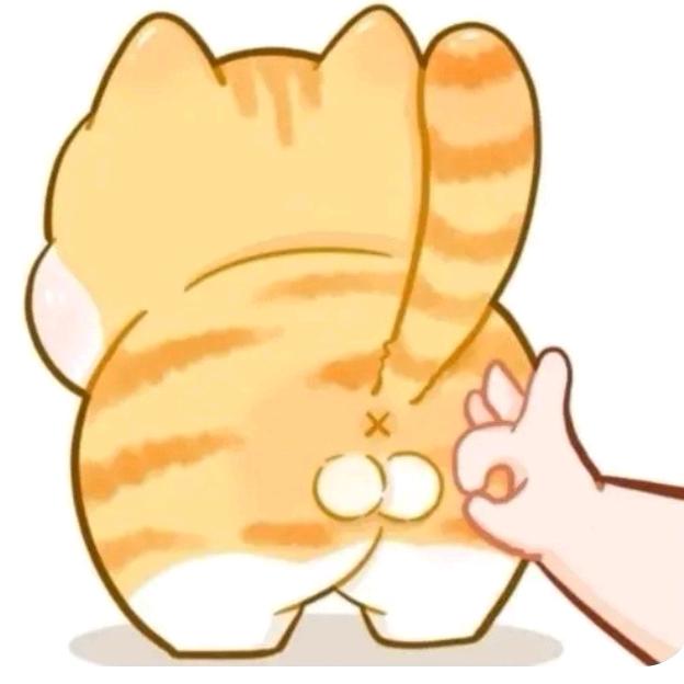 包滚滚头像