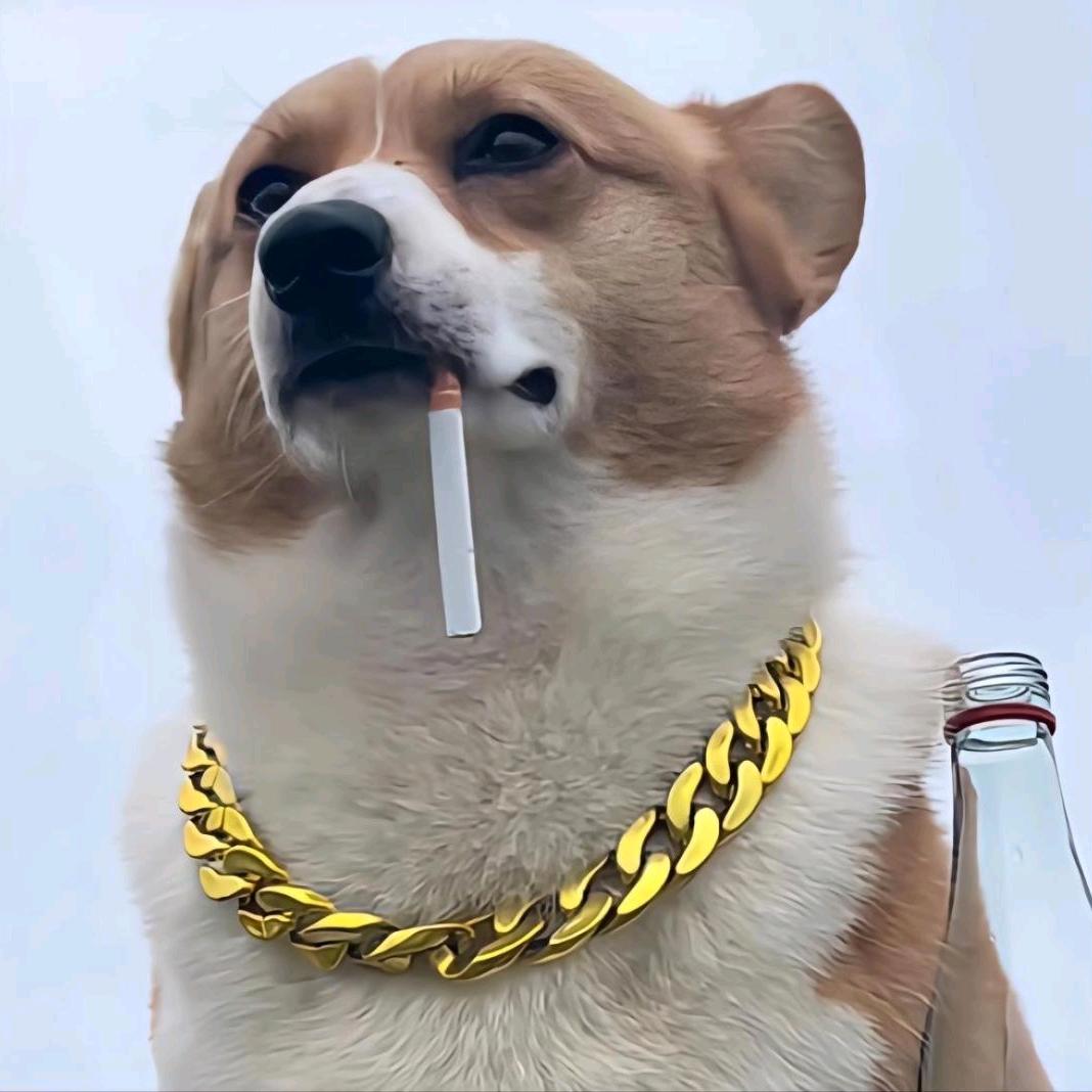 步阳安全门（东只甲店）