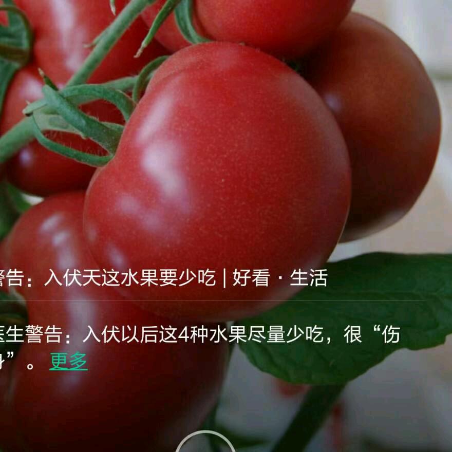 老王专业占地坪