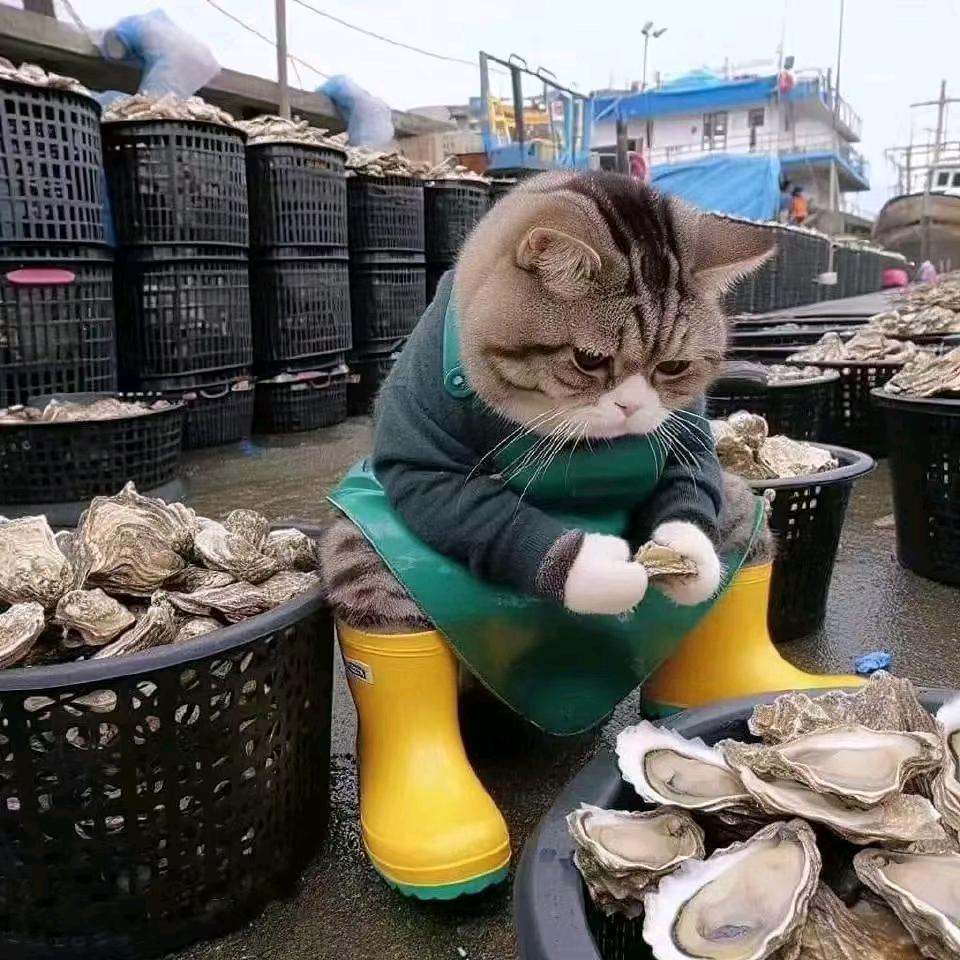 负豪