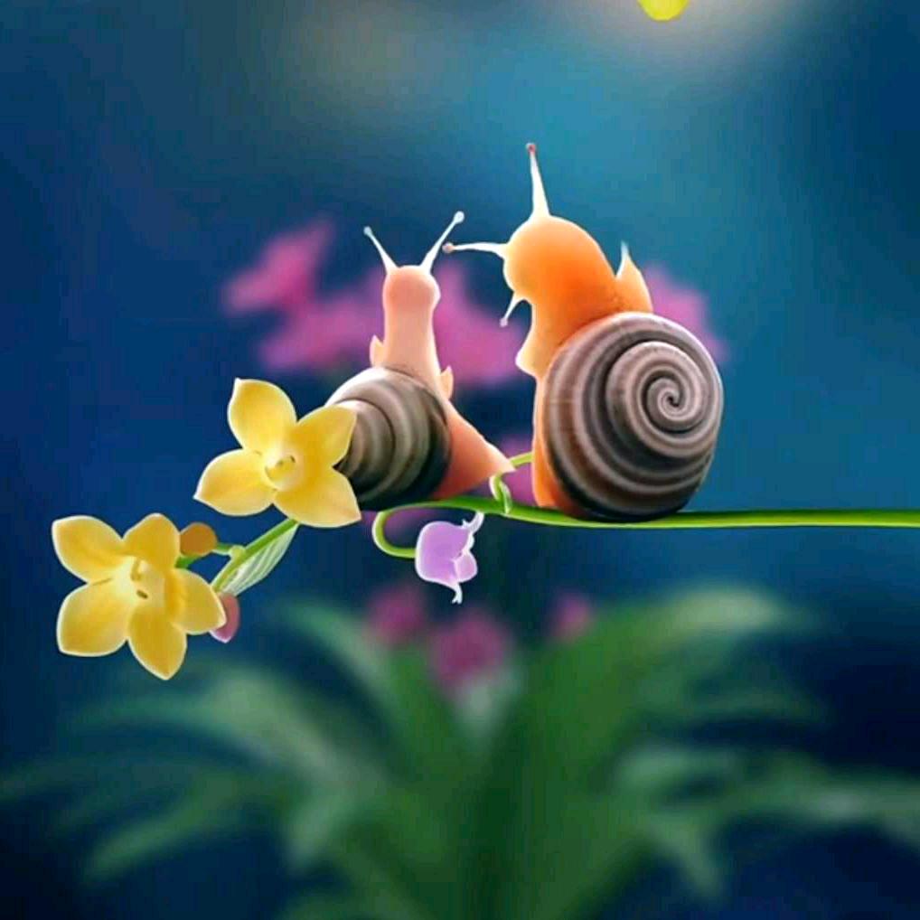 এ᭄一帆^_^ོ风顺ꦿృ༊