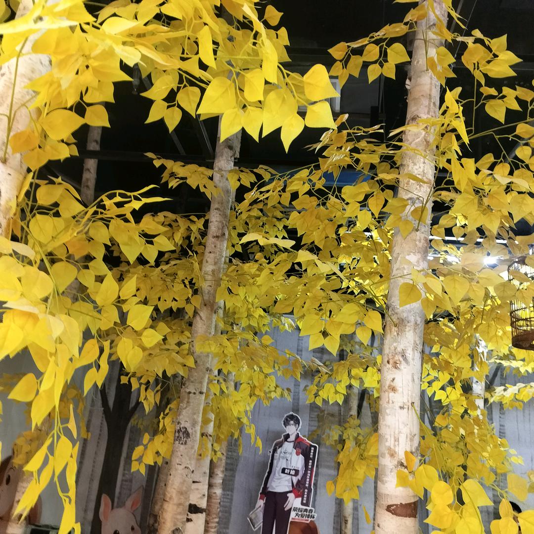 云朵小花(^ᴗ^)☁️